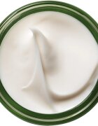 Origins A Perfect World™ Antioxidant Moisturizer With White Tea tápláló antioxidáns krém 50 ml
