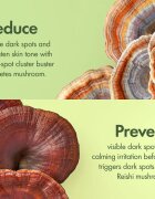 Origins Dr. Andrew Weil for ™ Mega-Mushroom Dark Spot Moisturizer Egységesítő hidratáló krém a bőr tökéletlenségei ellen 50 ml