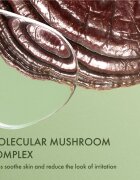 Origins Dr. Andrew Weil for ™ Mega-Mushroom Fortifying Emulsion with Reishi and Seabuckthorn nyugtató és hidratáló emulzió 100 ml