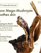 Origins Dr. Andrew Weil for ™ Mega-Mushroom Relief & Resilience Soothing Treatment Lotion bőrlágyító és nyugtató arcvíz 200 ml