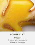 Origins Ginger Essence Sensuous Skin Scent illatosított haj- és testpermet hölgyeknek 100 ml