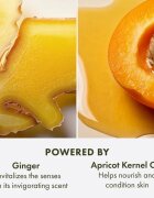 Origins Ginger Souffle™ Whipped Body Cream finom testápoló krém 200 ml