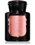 Paddywax Apothecary Noir Saffron Rose illatgyertya 226 g