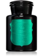 Paddywax Apothecary Noir Tabac & Pine illatgyertya 226 g