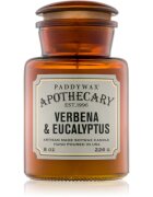 Paddywax Apothecary Verbena & Eucalyptus illatgyertya 226 g