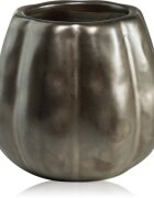 Paddywax Pumpkin Spice illatgyertya 255 g
