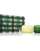 Paddywax Ripple Secret Garden + Wild Fig & Cedar ajándékszett