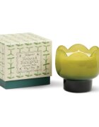 Paddywax Tulip Verbena & Lemongrass illatgyertya 155 g