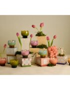 Paddywax Tulip Verbena & Lemongrass illatgyertya 155 g