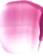 Paese Beauty Lipgloss With Meadowfoam Seed Oil hidratáló ajakfény árnyalat 06 Vivid 3.4 ml
