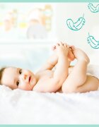 Pampers Premium Care Size 2 eldobható pelenkák 4-8 kg 68 db