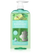PAPOUTSANIS Karavaki Control & Detox sampon zsíros és száraz fejbőrre 600 ml