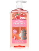 PAPOUTSANIS Karavaki Nutrition & Hydration tápláló sampon 600 ml