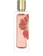 Paris Corner Ibisco Nirvana parfüm kivonat unisex 65 ml