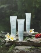 Paul Mitchell Awapuhi Wild Ginger Repair Cream Rinse tápláló kondícionáló minden hajtípusra 250 ml