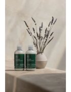 Paul Mitchell Tea Tree Lavender Mint hidratáló és nyugtató sampon száraz és rakoncátlan hajra 75 ml