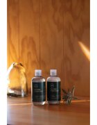 Paul Mitchell Tea Tree Lemon Sage energizáló sampon a sűrű hajért 300 ml