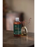 Paul Mitchell Tea Tree Special Color sampon a festett haj védelmére 300 ml