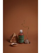 Paul Mitchell Tea Tree Special Color sampon a festett haj védelmére 300 ml