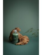 Paul Mitchell Tea Tree Special frissítő sampon 75 ml