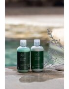 Paul Mitchell Tea Tree Special frissítő sampon 75 ml