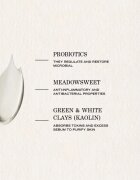 Payot Pâte Grise Masque Purifiant Rééquilibrant tisztító maszk zsíros bőrre 75 ml