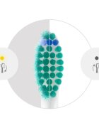 Philips Sonicare ProResults HX6014/87 csere fejek a fogkeféhez 4 db