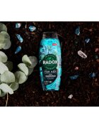 Radox Feel Energised fürdőgél férfiaknak 2 az 1-ben 450 ml