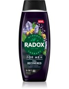 Radox Feel Recovered fürdőgél férfiaknak 2 az 1-ben 450 ml