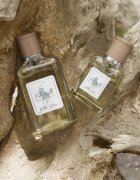 Ralph Lauren Polo Earth Antilles Vetiver Eau de Toilette unisex 100 ml