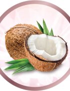 Remington Coconut Smooth S5901 hajvasaló 1 db