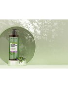Revuele Botanical Care Rosemary erősítő sampon a haj növekedésének elősegítésére 400 ml
