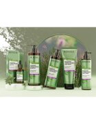 Revuele Botanical Care Rosemary erősítő sampon a haj növekedésének elősegítésére 400 ml
