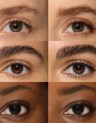 Rimmel Wonder'Freeze géles szempillaspirál szemöldökre árnyalat 004 Deep Brown 6 g
