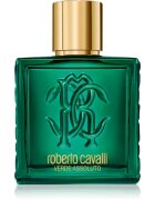 Roberto Cavalli Uomo Verde Assoluto Eau de Parfum uraknak 100 ml