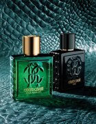Roberto Cavalli Uomo Verde Assoluto Eau de Parfum uraknak 100 ml