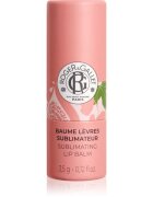 Roger & Gallet Fleur de Figuier Sublimating Lip Balm ajakbalzsam 3.5 g