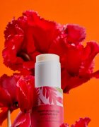 Roger & Gallet Gingembre Rouge Wellbeing Solid Fragrance szolid parfüm hölgyeknek 5 g