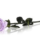 RoseAmor Lila örökrózsa szárral 30 cm 1 db