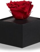 RoseAmor Red örökrózsa dobozban 1 db