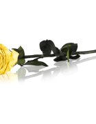 RoseAmor Yellow örökrózsa szárral 30 cm 1 db