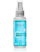 Saloos Air Fresheners Eucalyptus lakásparfüm 50 ml