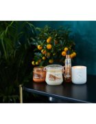 Sanctuary Spa Signature Natural Oils intenzív hidratáló testvaj 300 ml