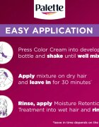 Schwarzkopf Palette Deluxe tartós hajfesték árnyalat 10-91 Dusty Cool Blonde 1 db