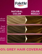 Schwarzkopf Palette Deluxe tartós hajfesték árnyalat 5-5 Golden Gloss Caramel 1 db