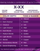 Schwarzkopf Palette Intensive Color Creme tartós hajfesték árnyalat 4-88 (RF3) Intensive Dark Red 1 db