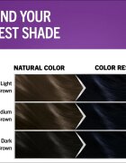 Schwarzkopf Perfect Mousse tartós hajfesték árnyalat 210 Icy Black 1 db