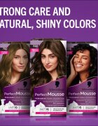 Schwarzkopf Perfect Mousse tartós hajfesték árnyalat 210 Icy Black 1 db