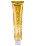 Schwarzkopf Professional IGORA Royal Absolutes Age Blend hajfesték árnyalat 8-140 Light Blonde Cendré Beige Natural 60 ml