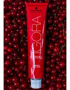 Schwarzkopf Professional IGORA Royal hajfesték árnyalat 3-68 60 ml